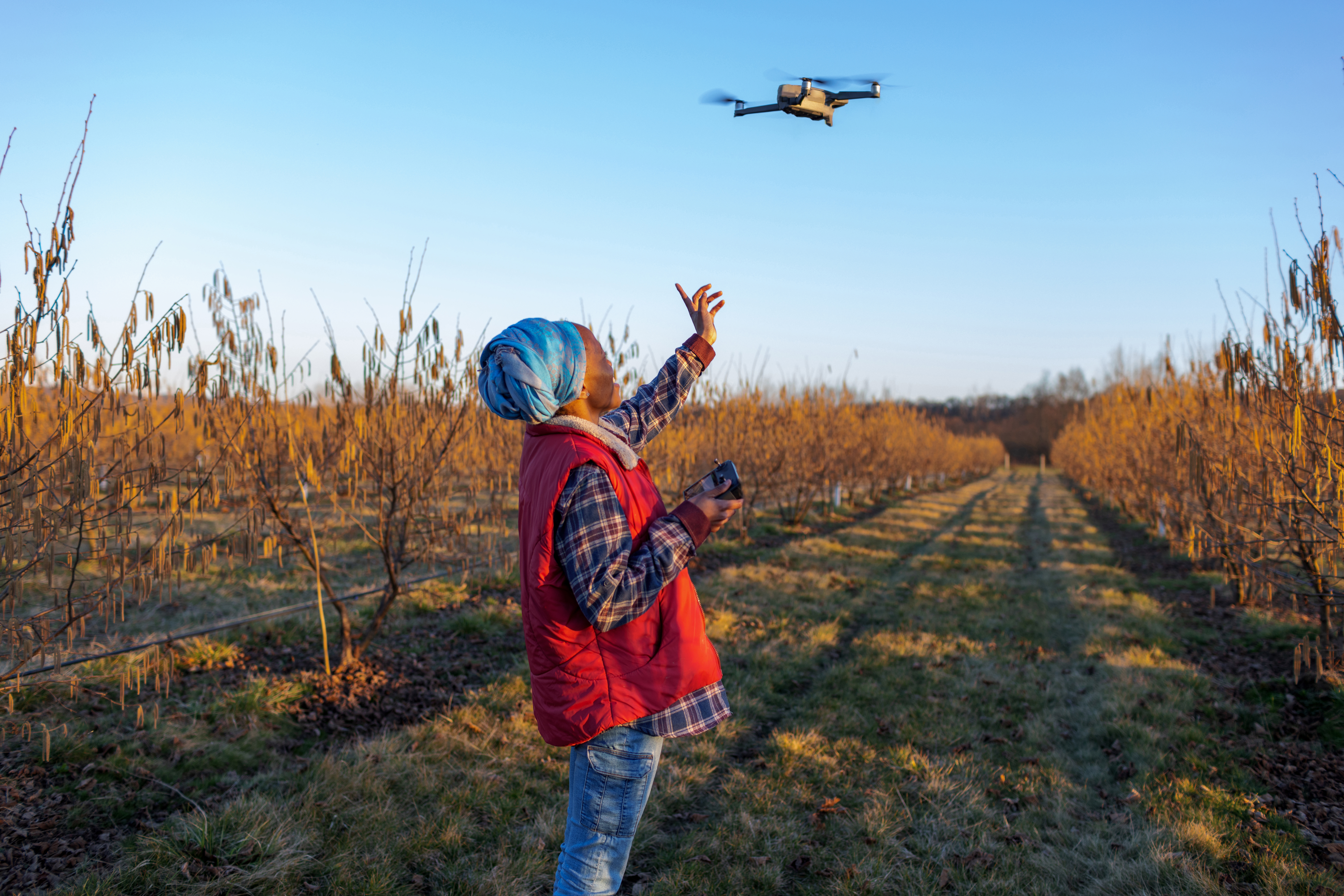 Woman standing in a field holding a drone controller while reaching up towards a hovering drone above her.