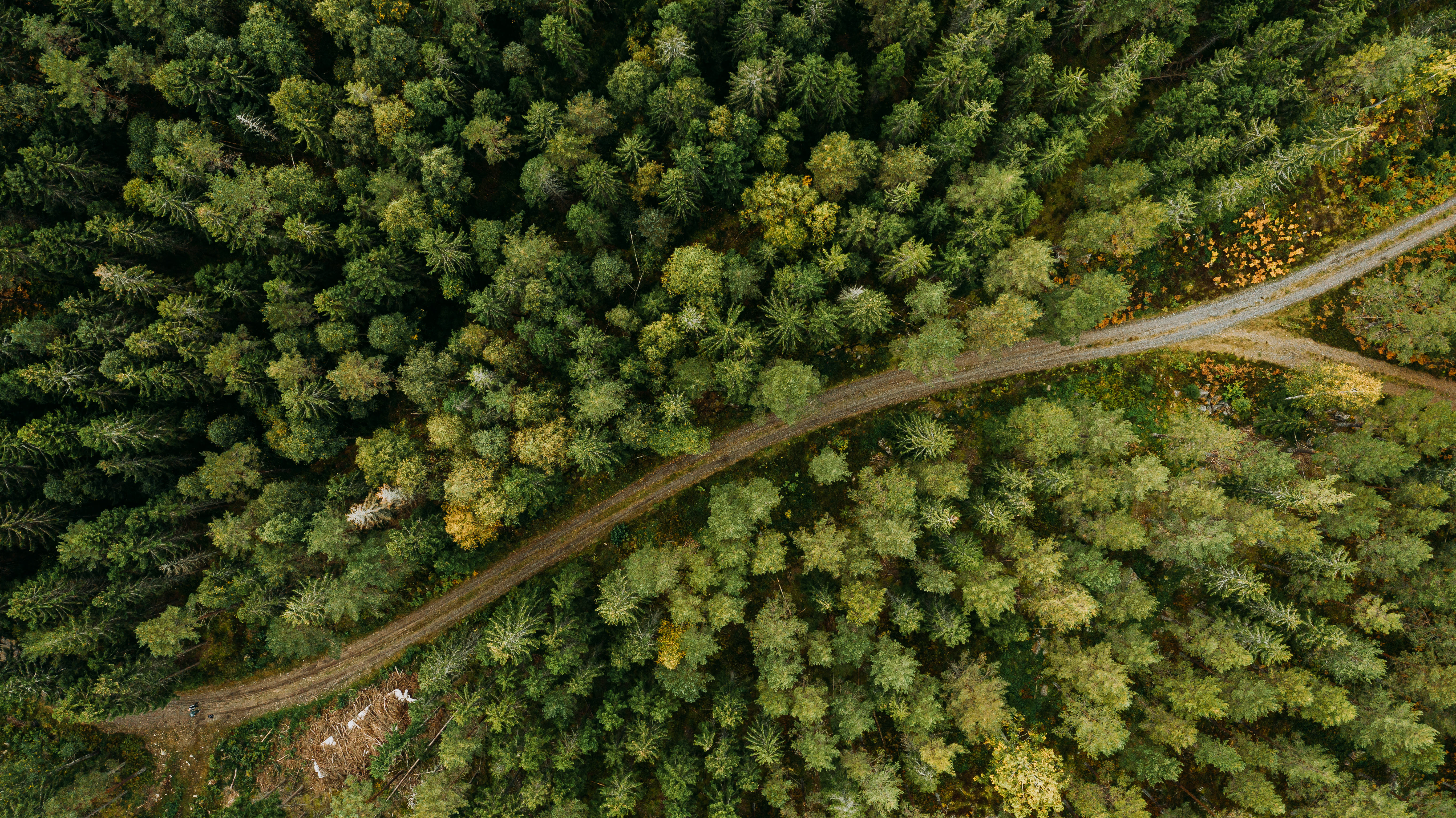Aerial photo taken by a drone, of a dirt road winding through a forested area.