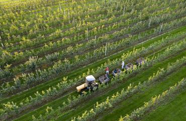 Figure of Farming